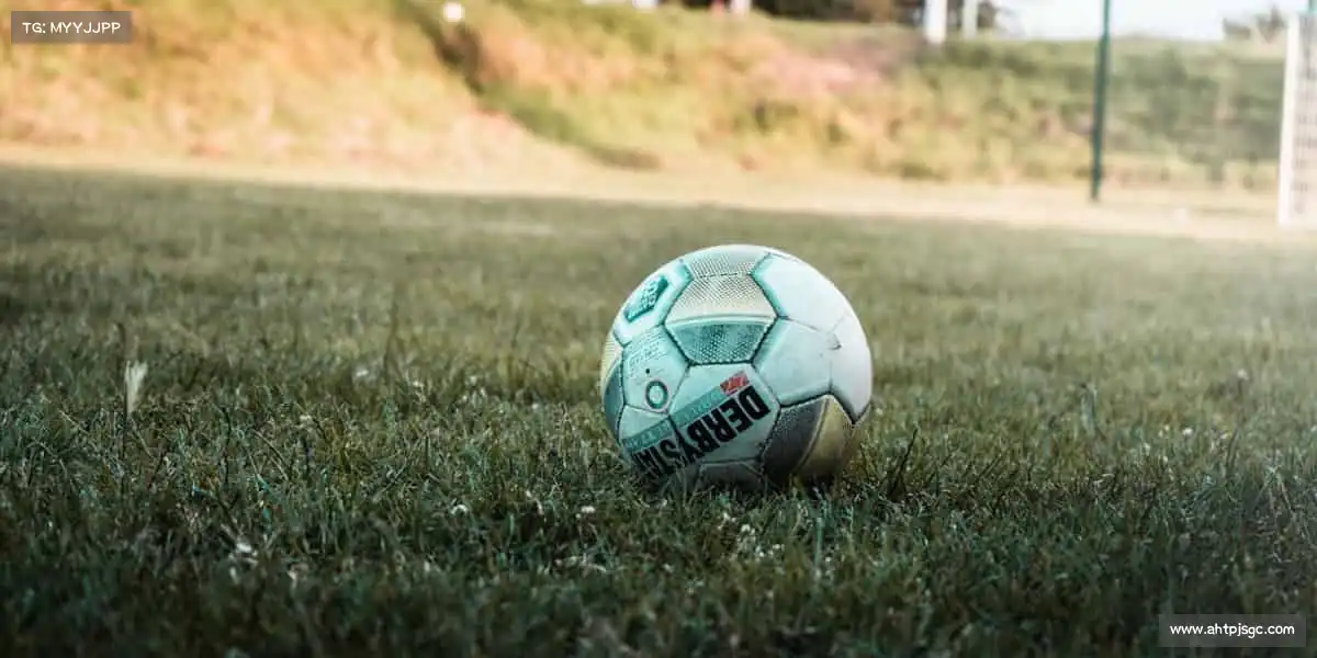 赌狗——即刻启程,开启你的运动人生!🚀🎯